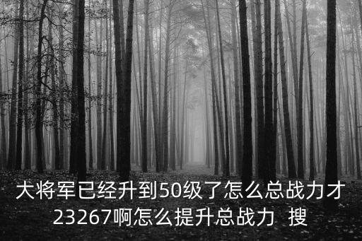 大将军已经升到50级了怎么总战力才23267啊怎么提升总战力 搜