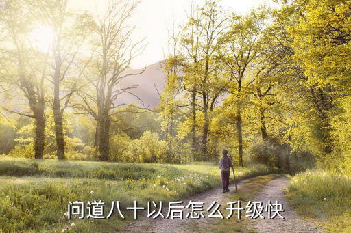 问道八十以后怎么升级快