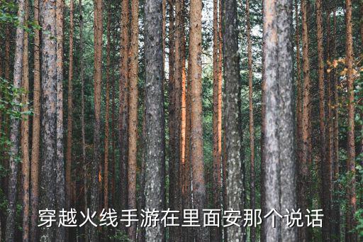 穿越火线手游在里面安那个说话