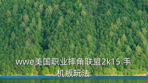 wwe手游武器怎么拿，wwe2k22在哪里拿武器
