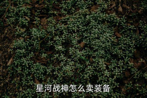 星河战神怎么卖装备