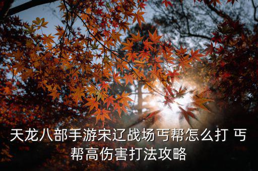 天龙八部手游宋辽战场丐帮怎么打 丐帮高伤害打法攻略