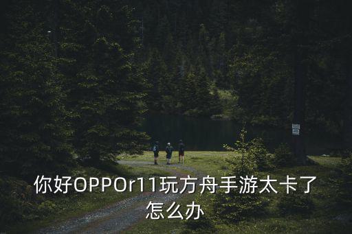 你好OPPOr11玩方舟手游太卡了怎么办