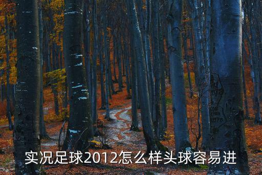实况足球2012怎么样头球容易进