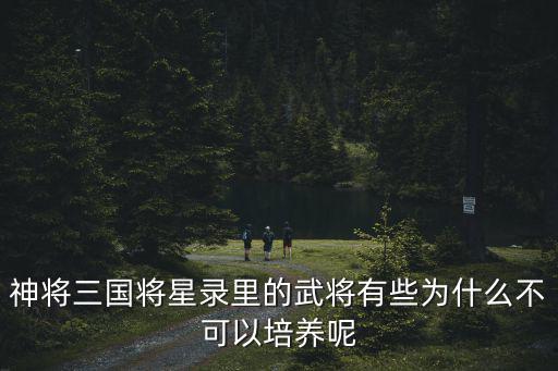 三国名将录手游怎么培养人物，下列武将应该怎么培养