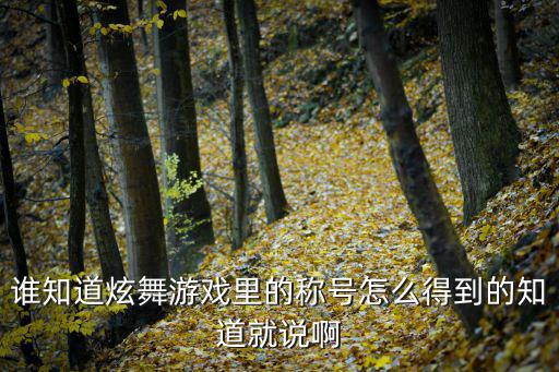 谁知道炫舞游戏里的称号怎么得到的知道就说啊