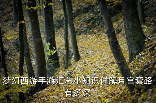 梦幻西游手游汇总小知识详解月宫套路有多深