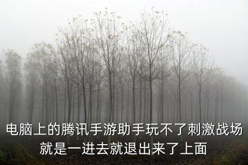 电脑上的腾讯手游助手玩不了刺激战场就是一进去就退出来了上面