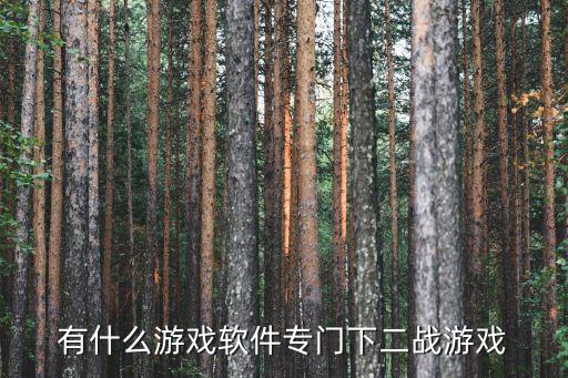 有什么游戏软件专门下二战游戏