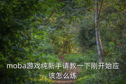 moba游戏纯新手请教一下刚开始应该怎么练