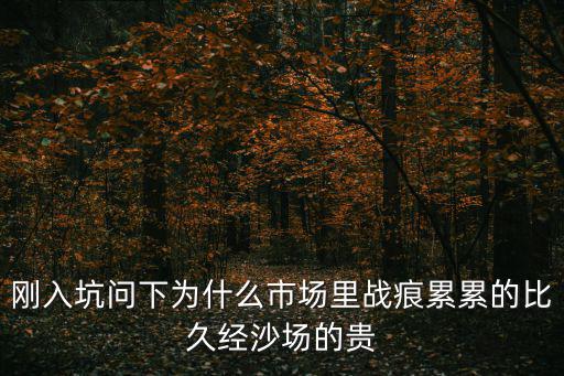 三国战纪2手游皮肤怎么这么贵，刚入坑问下为什么市场里战痕累累的比久经沙场的贵