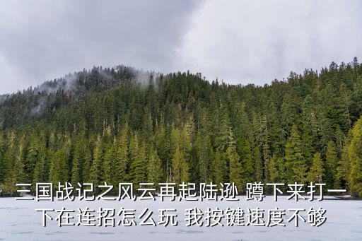 三国战记之风云再起陆逊 蹲下来打一下在连招怎么玩 我按键速度不够