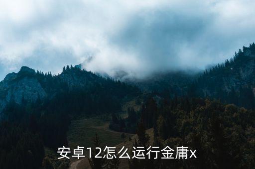 安卓12怎么运行金庸x