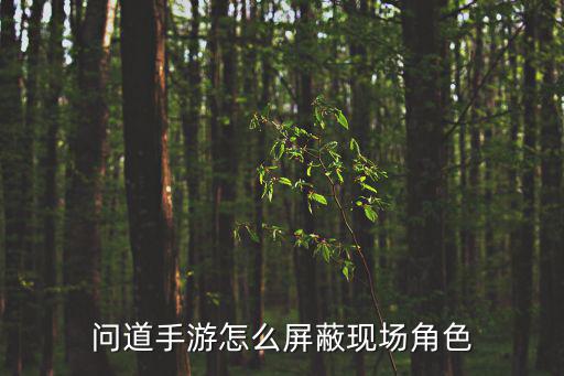 问道手游怎么屏蔽现场角色