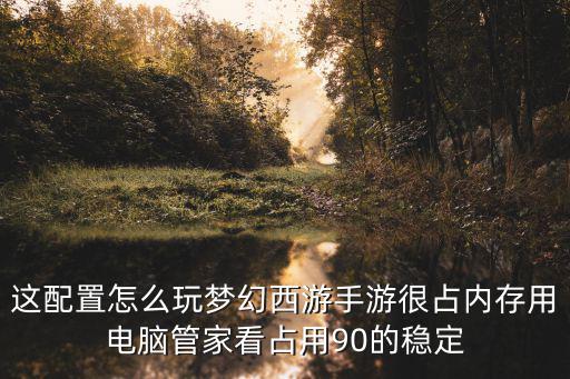 这配置怎么玩梦幻西游手游很占内存用电脑管家看占用90的稳定
