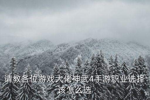 请教各位游戏大佬神武4手游职业选择该怎么选