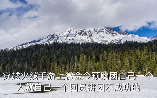cf手游拼团怎么拼，穿越火线手游上赏金令预购团自己一个人就自己一个团员拼团不成功的