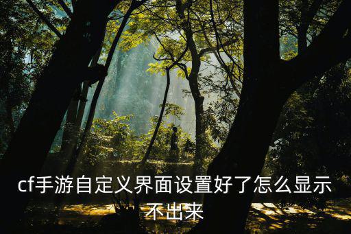 cf手游自定义界面设置好了怎么显示不出来