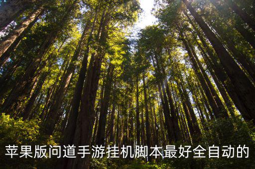 问道手游ios怎么后台挂机，问道手游可以挂机吗