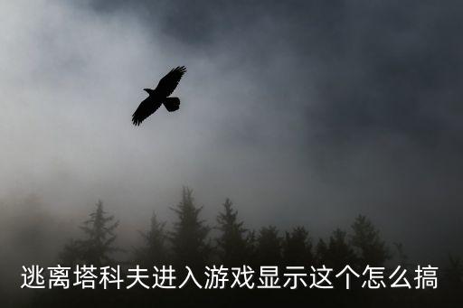 逃离塔科夫进入游戏显示这个怎么搞