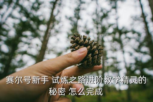 赛尔号新手 试炼之路进阶教学精灵的秘密 怎么完成