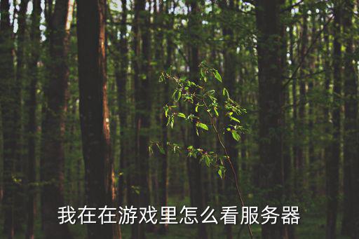 我在在游戏里怎么看服务器