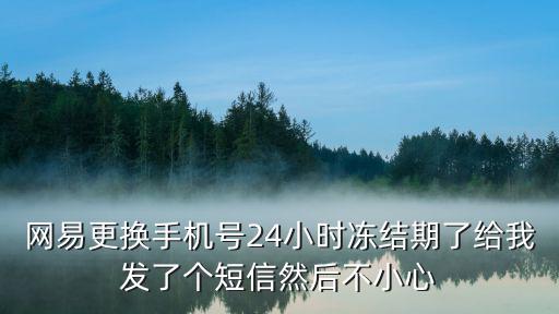 网易更换手机号24小时冻结期了给我发了个短信然后不小心
