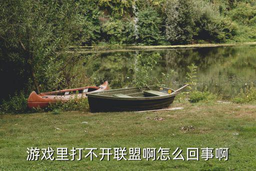 联盟手游峡谷宝典怎么打不开，英雄联盟游戏打不开怎么办