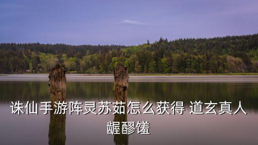 诛仙手游苏茹怎么得贴吧，诛仙手游阵灵苏茹怎么获得 道玄真人龌醪馐