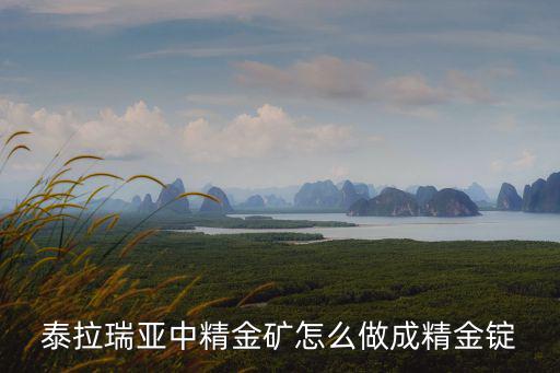 泰拉瑞亚中精金矿怎么做成精金锭