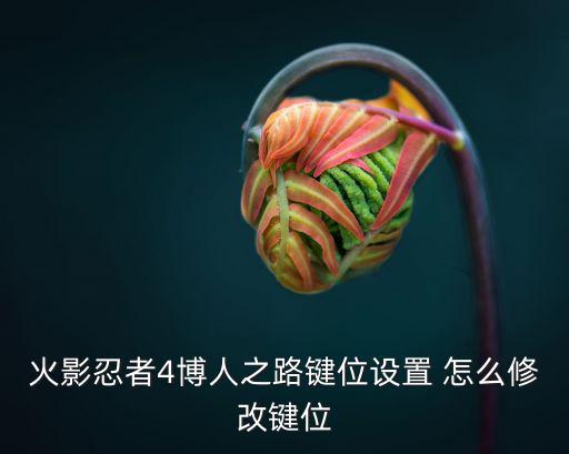 火影忍者4博人之路键位设置 怎么修改键位