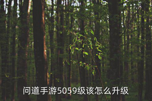 问道手游5059级该怎么升级