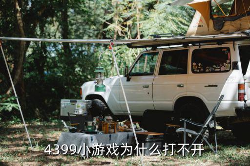 4399手游打不开怎么回事，为什么4399小游戏打不开呢