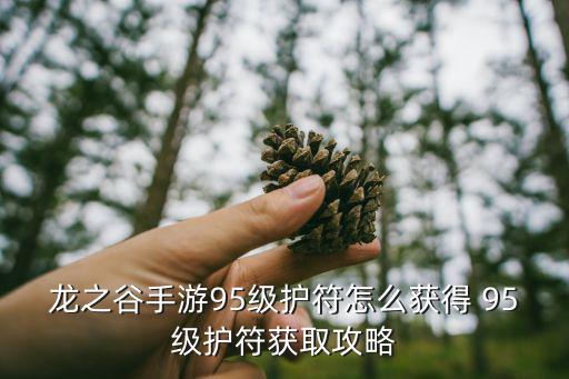 龙之谷手游符文怎么获取，龙之谷手游95级护符怎么获得 95级护符获取攻略