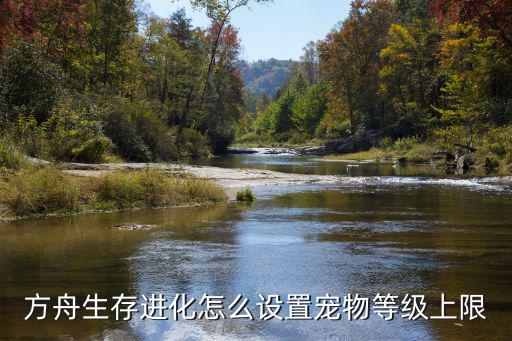 方舟生存进化怎么设置宠物等级上限