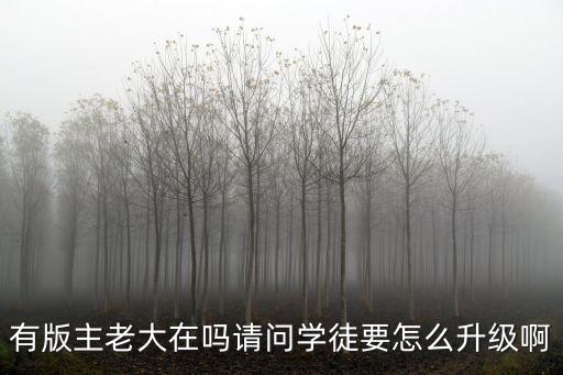 有版主老大在吗请问学徒要怎么升级啊