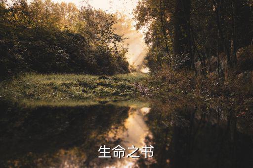 手游生命之书怎么玩，模拟人生4怎么把复活的人拉进来