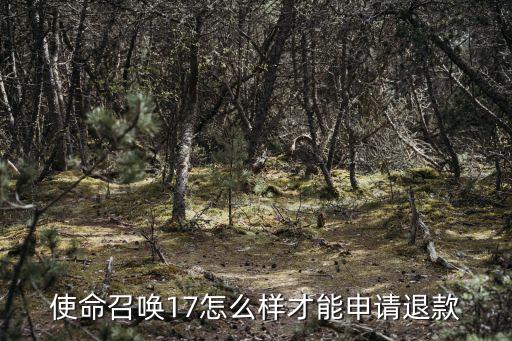 使命召唤17怎么样才能申请退款