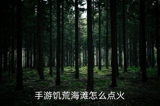 手游饥荒海滩怎么点火