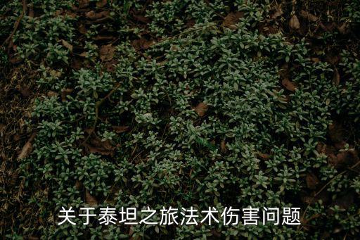 关于泰坦之旅法术伤害问题