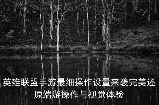 联盟手游视野怎么调好，英雄联盟手游操作设置怎么调最好