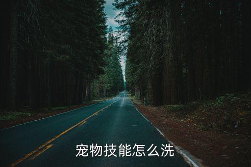 宠物技能怎么洗
