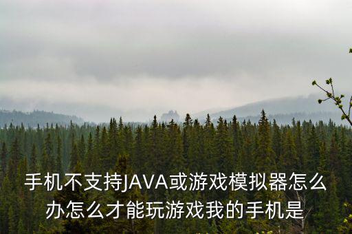 天刀手游不用腾讯模拟器怎么玩，怎样不用游戏自带的模拟器玩那游戏 不能保存 想用别