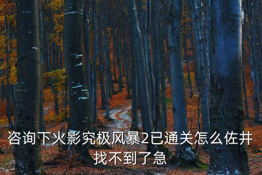 咨询下火影究极风暴2已通关怎么佐井找不到了急