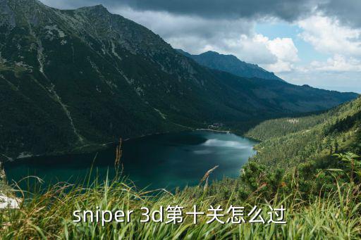 sniper 3d第十关怎么过