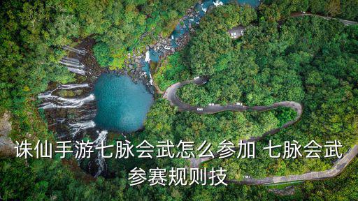 诛仙手游视频大赛怎么参加，诛仙手游七脉会武怎么参加 七脉会武参赛规则技
