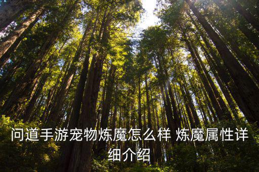 问道手游宠物炼魔怎么样 炼魔属性详细介绍