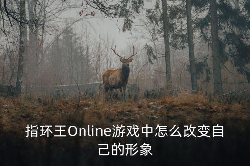 指环王Online游戏中怎么改变自己的形象