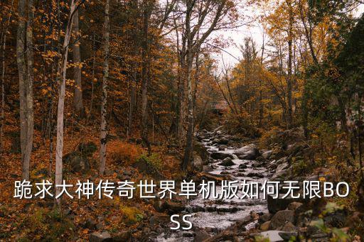跪求大神传奇世界单机版如何无限BOSS