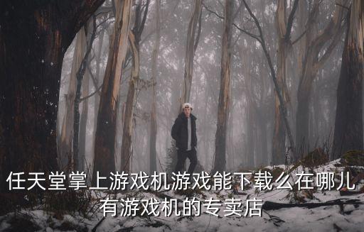 任天堂掌上游戏机游戏能下载么在哪儿有游戏机的专卖店